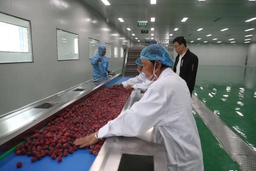 清水河縣 以綠色農產品加工產業園為引擎，譜寫鄉村產業振興新篇章
